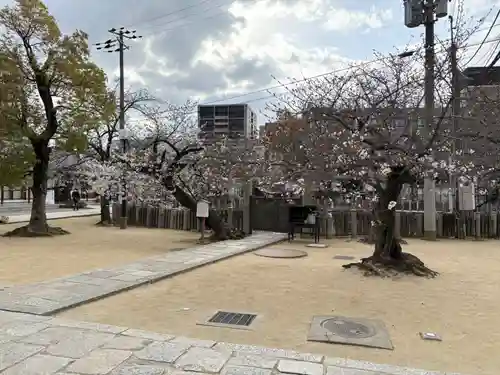 四天王寺(大阪府)