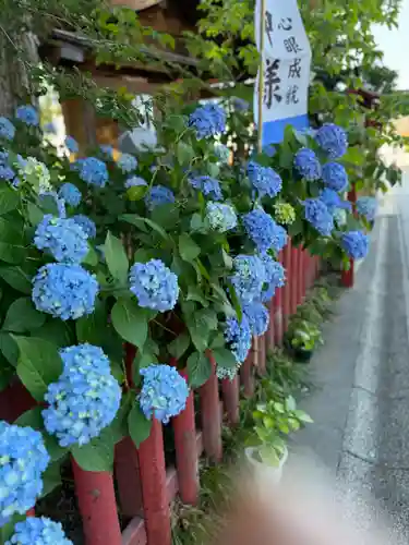 川越八幡宮(埼玉県)