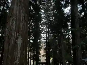 大宮温泉神社(栃木県)(2022年12月05日(月) 10時54分01秒投稿)