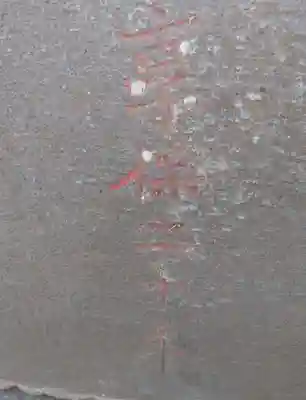 香取神社(東京都)