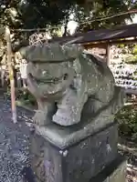 菊田神社の狛犬