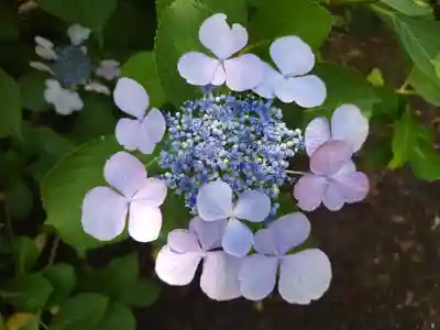 時宗総本山 遊行寺（正式：清浄光寺）(神奈川県)