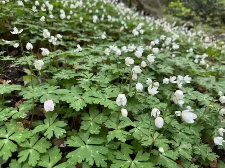 筑波山神社 女体山御本殿(茨城県)