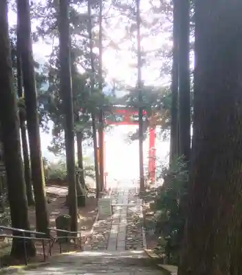 箱根神社(神奈川県)