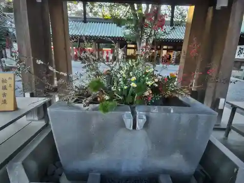 三嶋大社の手水舎