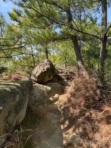 箱島神社の{uncategorized: "未分類", other: "その他", undefined: "問題あり", building: "その他建物", grave: "お墓", sacred_gate: "鳥居", guardian: "狛犬", statue: "像", buddha: "仏像", history: "歴史", nature: "自然", garden: "庭園", animal: "動物", pagoda: "塔", temizu: "手水舎", mountain_gate: "山門・神門", sanctuary: "本殿・本堂", subordinate: "末社・摂社", art: "芸術", scenery: "景色", jizo: "地蔵", ema: "絵馬", goshuin: "御朱印", omikuji: "おみくじ", items: "授与品その他", amulet: "お守り", goshuincho: "御朱印帳", eats: "食事", festival: "お祭り", votive_dance: "神楽", shichigosan: "七五三参", wedding: "結婚式", experience: "体験その他", initially: "初詣", around: "周辺", anti_infection: "感染症対策"}