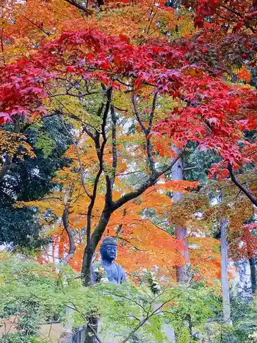 榮攝院（栄摂院）(京都府)