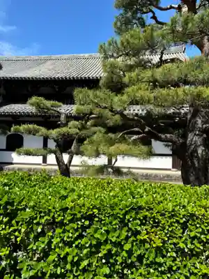 東福禅寺(東福寺)(京都府)