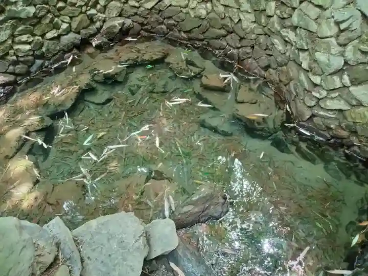 隨心院(随心院)(京都府)