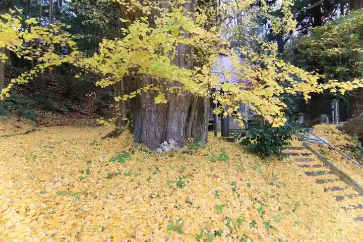 乙宿禰神社の自然