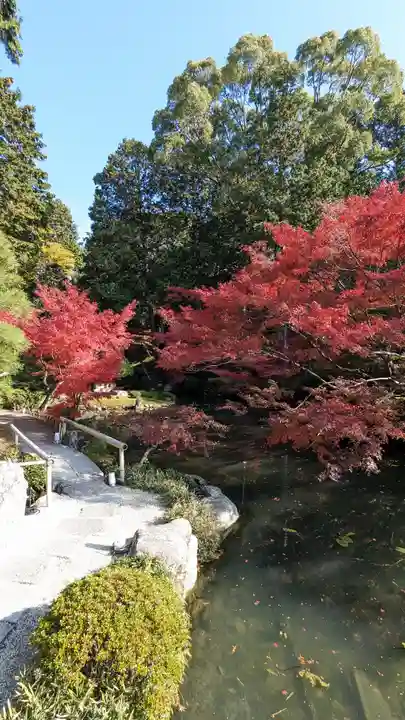 くろ谷 金戒光明寺(京都府)