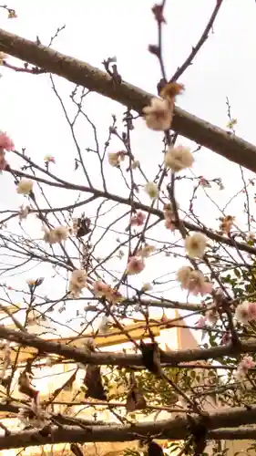 玉造稲荷神社(大阪府)