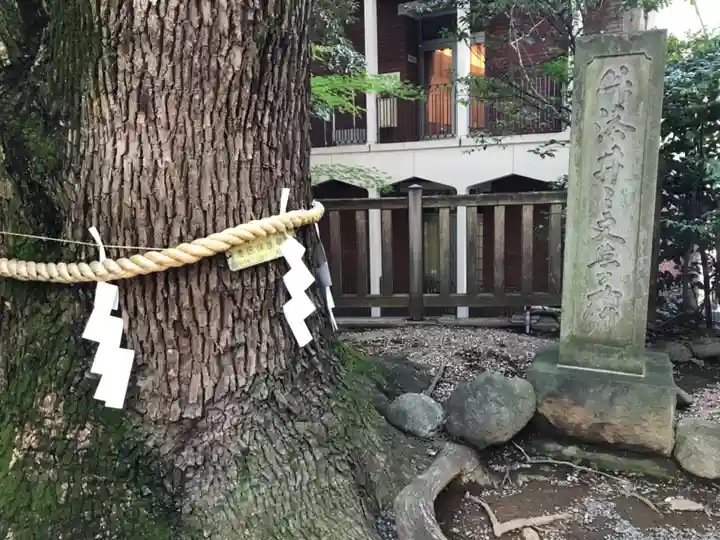 乃木神社の自然