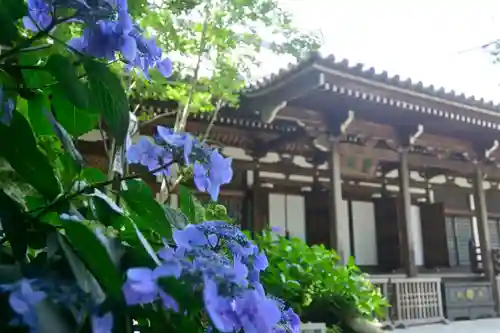 高幡不動尊　金剛寺のその他建物