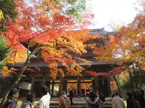 永源寺の山門・神門