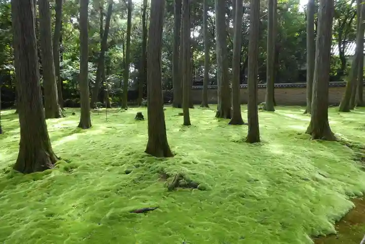 唐招提寺(奈良県)