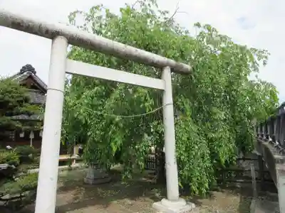 熊野神社(栃木県)