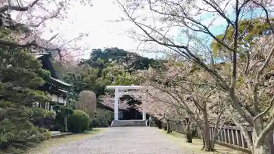 安房神社(千葉県)