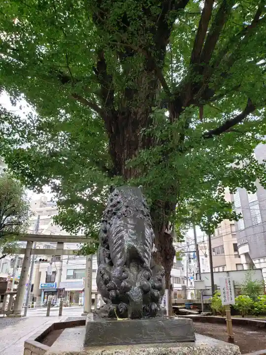 鳩森八幡神社の狛犬