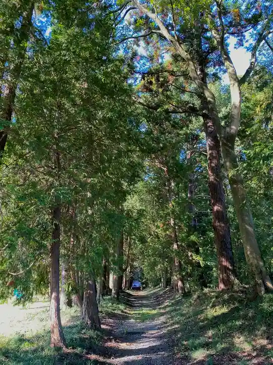 大井神社(太郎神社)(茨城県)