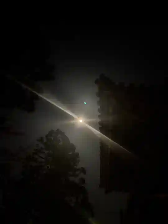 伊勢の国 四天王寺の自然