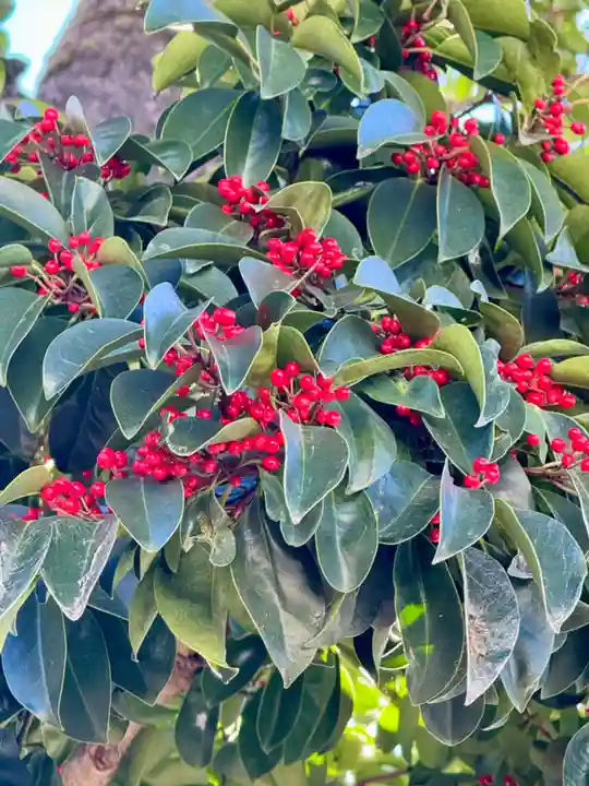 金札宮(京都府)