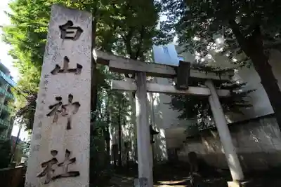 荻窪白山神社の鳥居