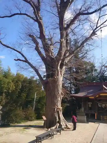 素鵞神社の自然