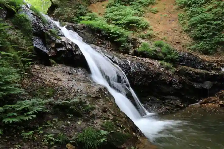 隠津島神社の自然