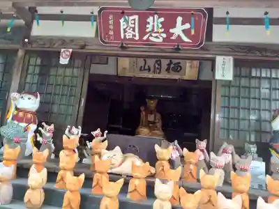 雲林寺の本殿・本堂