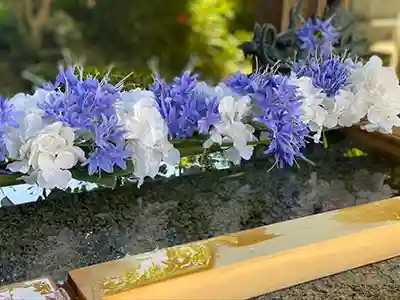 広禅寺の手水舎