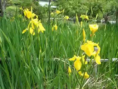 龍寳寺（龍宝寺）(神奈川県)