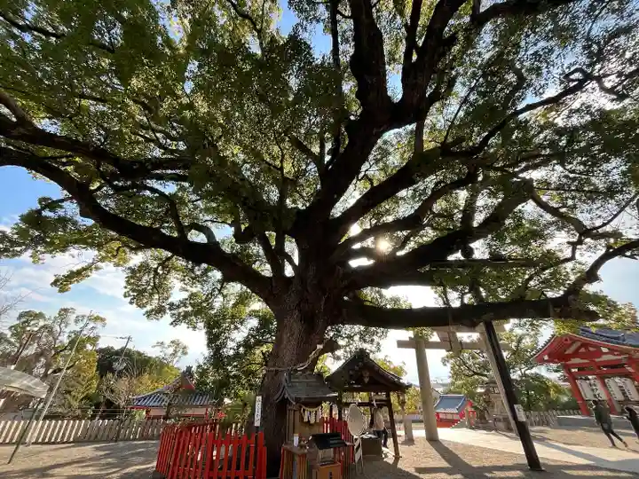 百舌鳥八幡宮(大阪府)