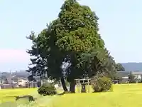 白鳥神社(富山県)