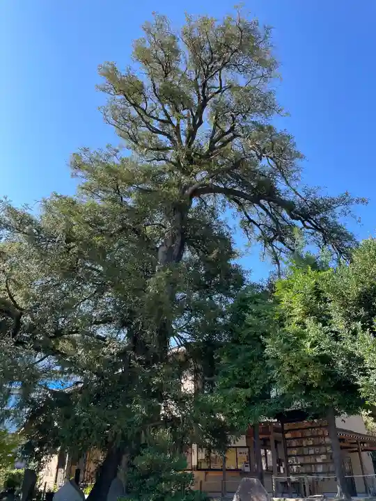 瀬戸神社(神奈川県)