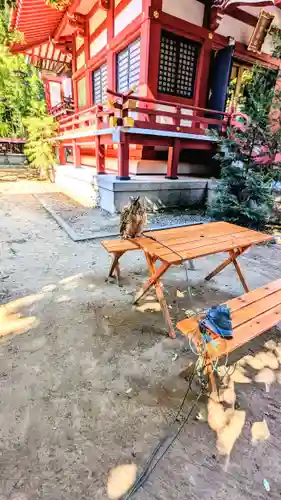 柏諏訪神社の動物