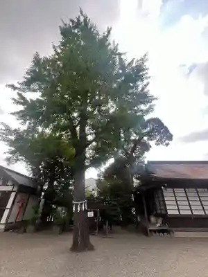 前川神社(埼玉県)