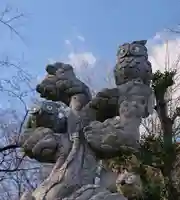 野木神社の狛犬
