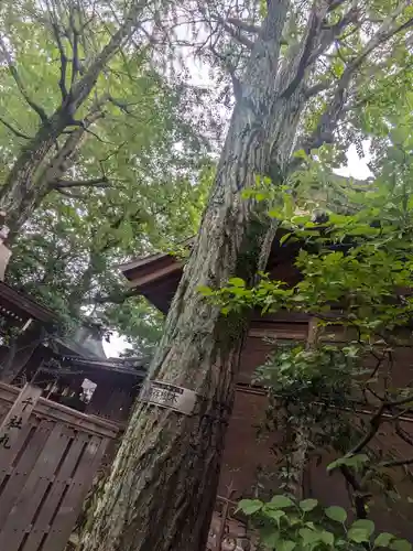 仲町氷川神社(東京都)