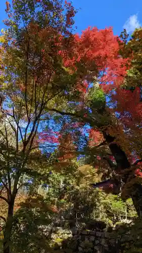 上ノ院本坊　来迎院の自然