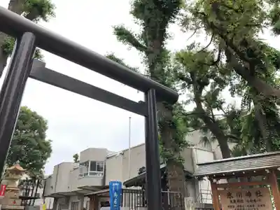高円寺氷川神社の鳥居