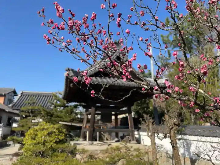 誓昌院の{uncategorized: "未分類", other: "その他", undefined: "問題あり", building: "その他建物", grave: "お墓", sacred_gate: "鳥居", guardian: "狛犬", statue: "像", buddha: "仏像", history: "歴史", nature: "自然", garden: "庭園", animal: "動物", pagoda: "塔", temizu: "手水舎", mountain_gate: "山門・神門", sanctuary: "本殿・本堂", subordinate: "末社・摂社", art: "芸術", scenery: "景色", jizo: "地蔵", ema: "絵馬", goshuin: "御朱印", omikuji: "おみくじ", items: "授与品その他", amulet: "お守り", goshuincho: "御朱印帳", eats: "食事", festival: "お祭り", votive_dance: "神楽", shichigosan: "七五三参", wedding: "結婚式", experience: "体験その他", initially: "初詣", around: "周辺", anti_infection: "感染症対策"}