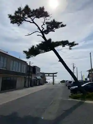 日御碕神社(島根県)