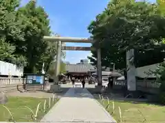 浅草神社の鳥居