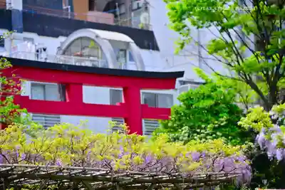 亀戸天神社(東京都)
