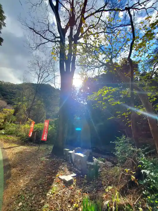 つるし観音(福島県)