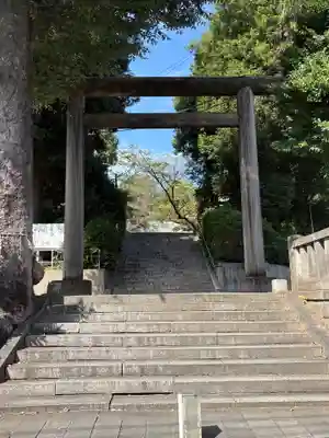 所澤神明社(埼玉県)