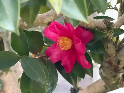 西方山極楽寺(岐阜県)