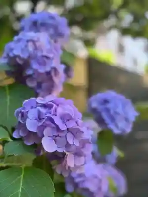 妻戀神社(東京都)