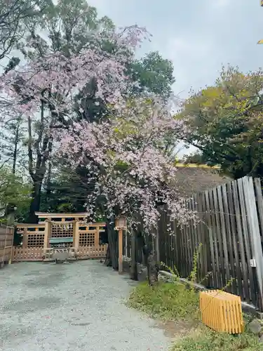 伊勢山皇大神宮(神奈川県)